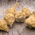 Maca Root for Increased Libido: How This Natural Supplement Can Boost Your Sex Drive